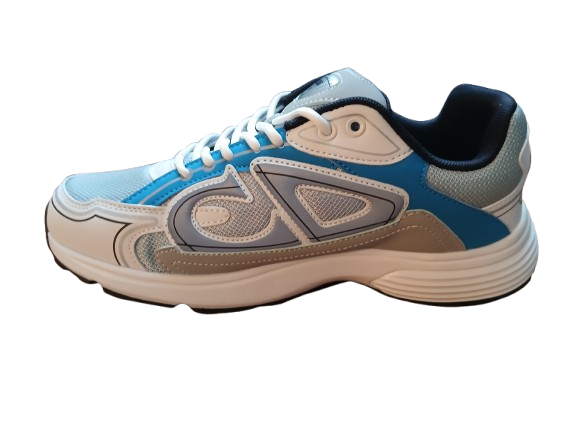 Dior B30s White and Blue