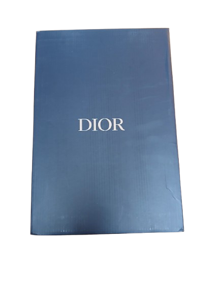 Diors B30s Trainers Black and White